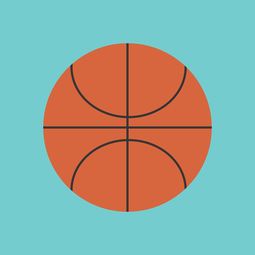 米兰体育app网址-中国篮球联赛市场竞争环境分析与预测，篮球市场现状